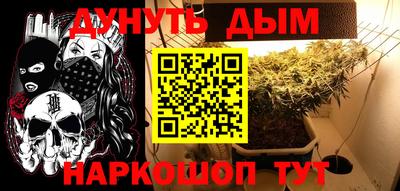 spice Кимры