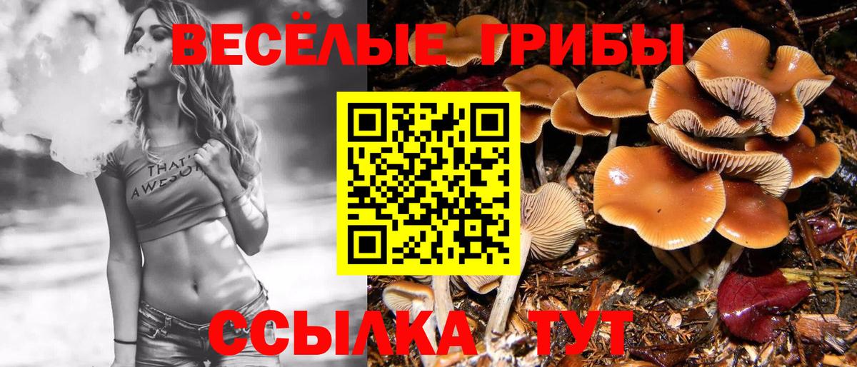 Псилоцибиновые грибы MAGIC MUSHROOMS  Вход с VPN  Коломна  Галлюциногенные грибы прущие грибы 