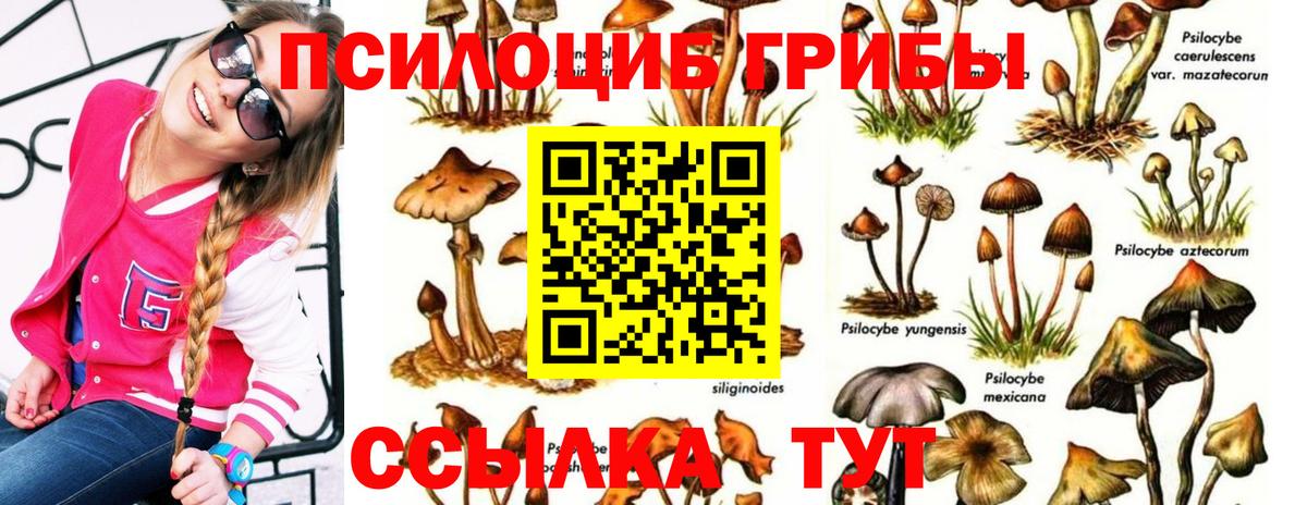 Псилоцибиновые грибы ЛСД Коломна